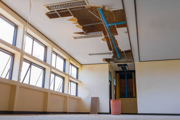 Reliable Orono, MN Water damage restoration Solutions