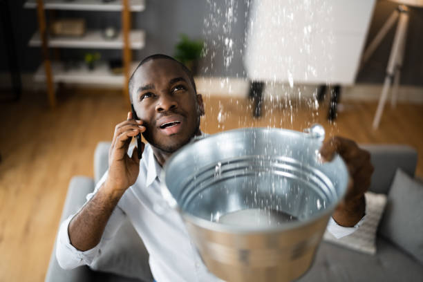 Best Water damage contractors near me  in Orono, MN