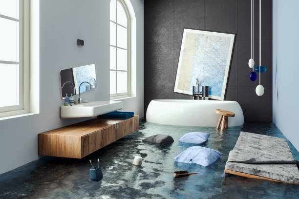 Best Water damage restoration near me  in Orono, MN