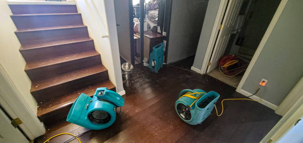Best 24-hour water damage restoration  in Orono, MN