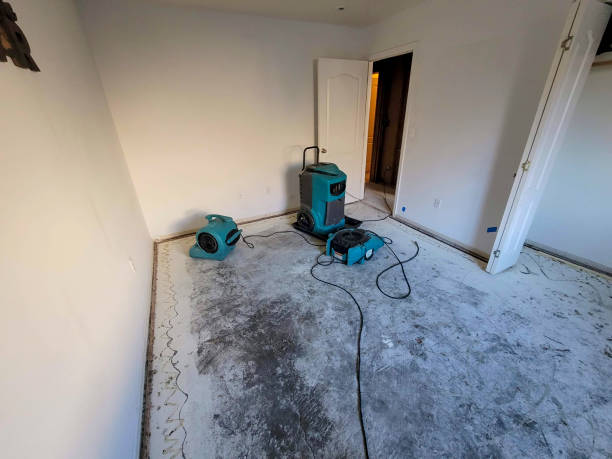 Best Fire Damage Restoration  in Orono, MN