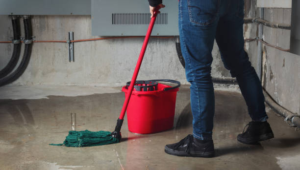  Orono, MN Water damage restoration Pros