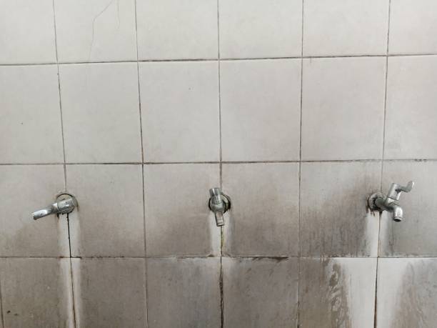 Sewage cleanup and water damage restoration in Orono, MN