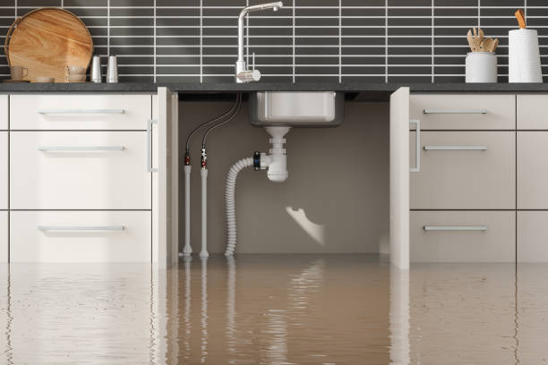 Best Basement water damage restoration  in Orono, MN