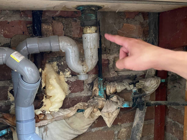 Best Sewage cleanup and water damage restoration  in Orono, MN