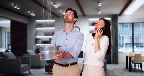 Best Local water damage restoration  in Orono, MN