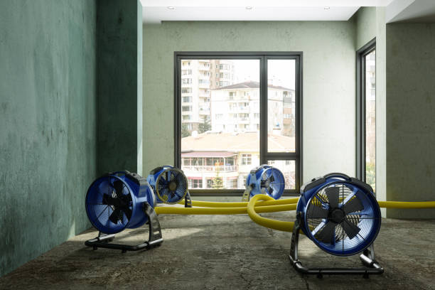 Best Basement water damage restoration  in Orono, MN