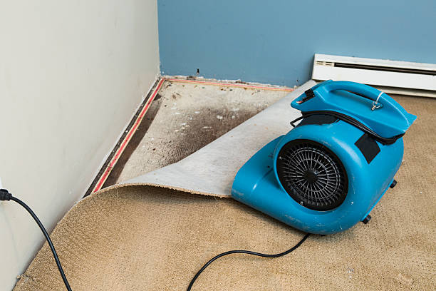 Best Commercial water damage restoration  in Orono, MN