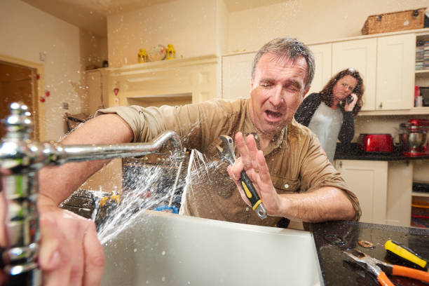 Best Flood restoration services  in Orono, MN